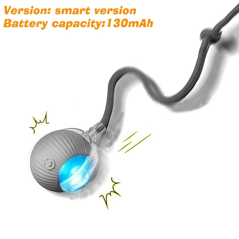 Pawuxe™ SmartPlay Rolling Ball - Pawuxe