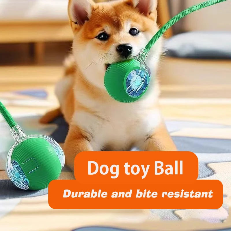 Pawuxe™ SmartPlay Rolling Ball - Pawuxe