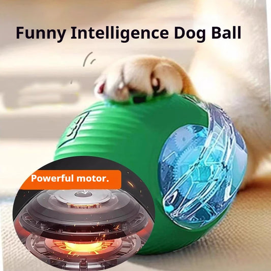 Pawuxe™ SmartPlay Rolling Ball - Pawuxe