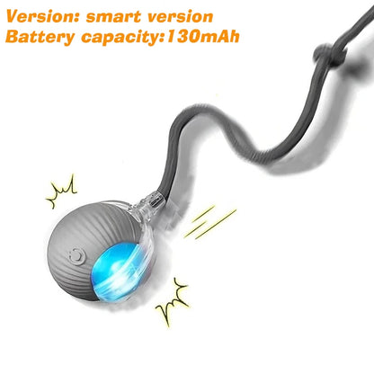 Pawuxe™ SmartPlay Rolling Ball - Pawuxe
