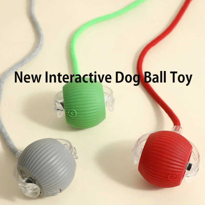 Pawuxe™ SmartPlay Rolling Ball - Pawuxe
