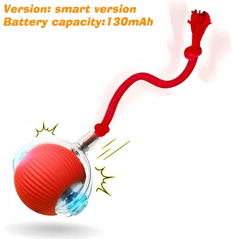 Pawuxe™ SmartPlay Rolling Ball - Pawuxe