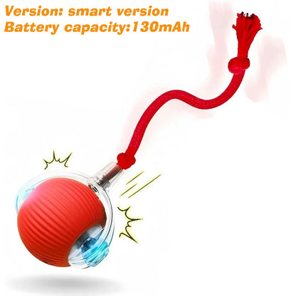 Pawuxe™ SmartPlay Rolling Ball - Pawuxe